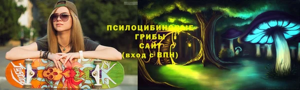 гидропоника Алексеевка