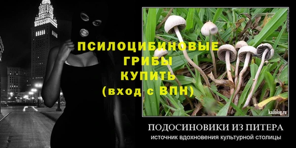 сатива Алзамай